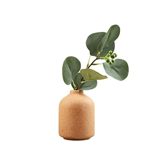 Small terracotta vase with green leaves on a white background